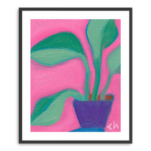 Plant Study