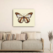 Ivory Butterfly