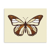 Ivory Butterfly