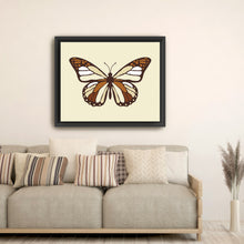 Ivory Butterfly