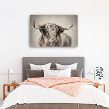 Grand Kyloe Bull