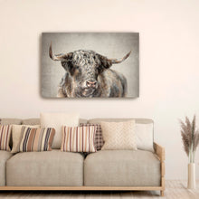Grand Kyloe Bull
