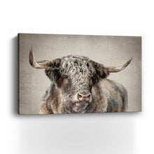 Grand Kyloe Bull