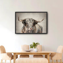 Grand Kyloe Bull