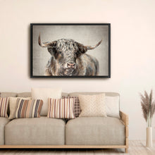 Grand Kyloe Bull
