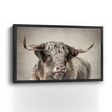 Grand Kyloe Bull