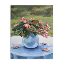 Begonia
