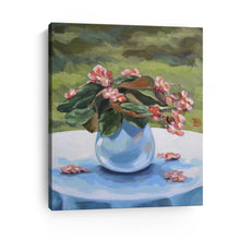 Begonia