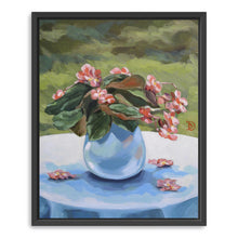Begonia