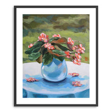 Begonia