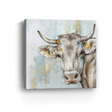 Headstrong Cow