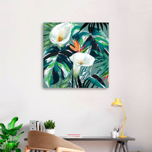 White Lily Paradise