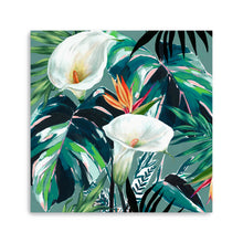 White Lily Paradise