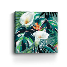 White Lily Paradise