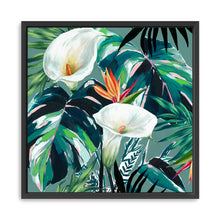 White Lily Paradise