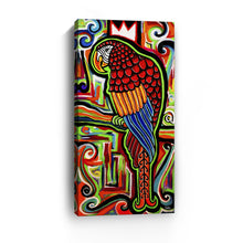 King Macaw