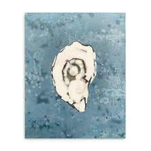 Denim Oyster 1