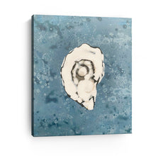 Denim Oyster 1