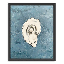 Denim Oyster 1