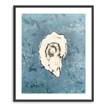 Denim Oyster 1