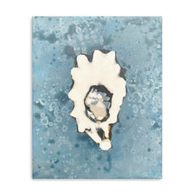 Denim Oyster 2