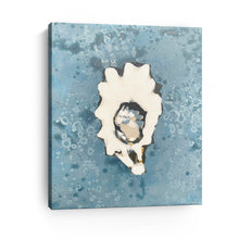 Denim Oyster 2