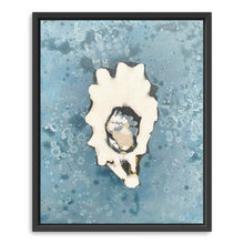Denim Oyster 2