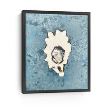 Denim Oyster 2