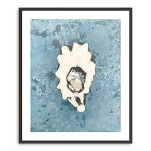 Denim Oyster 2
