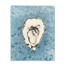 Denim Oyster 3