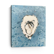 Denim Oyster 3
