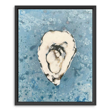 Denim Oyster 3