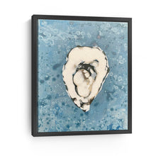 Denim Oyster 3