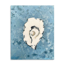 Denim Oyster 4