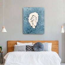 Denim Oyster 5