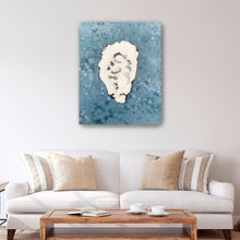 Denim Oyster 5
