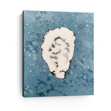 Denim Oyster 5