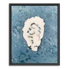 Denim Oyster 5