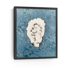 Denim Oyster 5