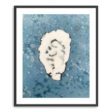 Denim Oyster 5
