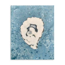 Denim Oyster 6