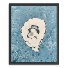 Denim Oyster 6