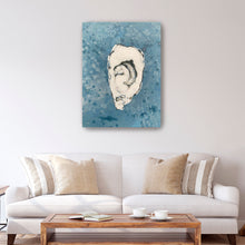 Denim Oyster 7