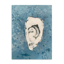 Denim Oyster 7