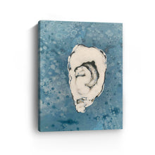 Denim Oyster 7