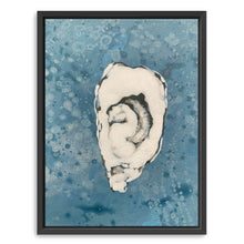 Denim Oyster 7