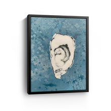 Denim Oyster 7