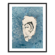 Denim Oyster 7