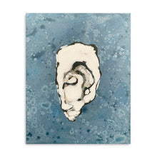 Denim Oyster 8