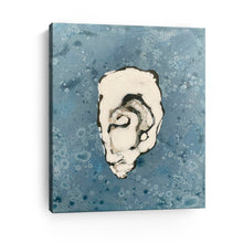 Denim Oyster 8